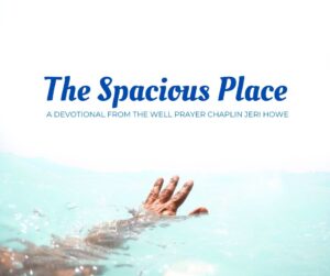 The Spacious Place Devotional image