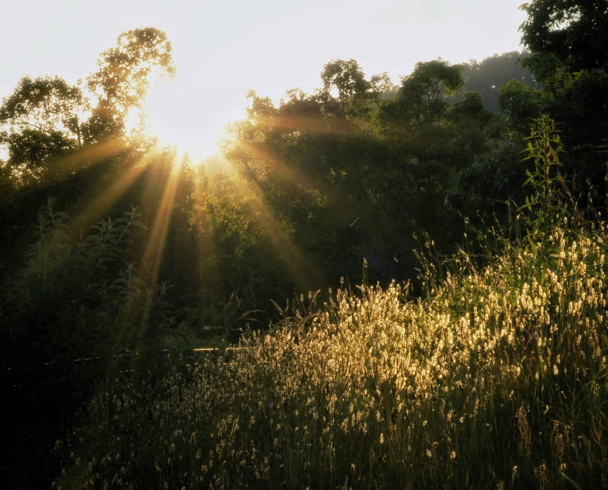 How Christian Creatives Stay Inspired: Creating in the Light of God’s Truth 1 Decorative Image for How Christian Creatives Stay Inspired: Creating in the Light of God’s Truth